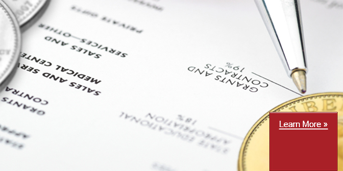 Options for a Precious Metals IRA